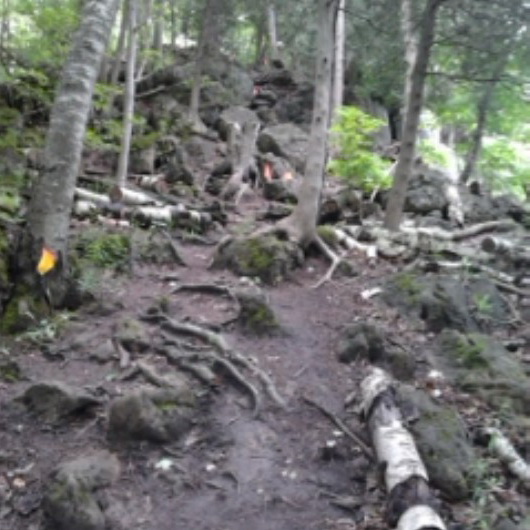 Rad trails at Rattlesnake Point Conservation Area