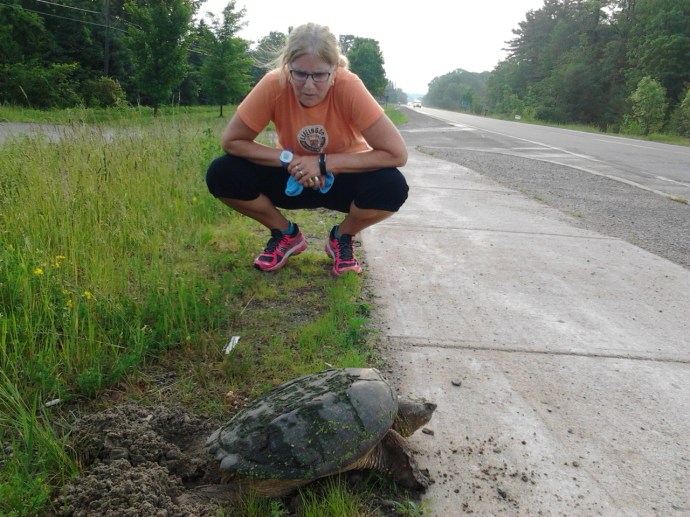 #100happdays Day 26 Glenis and mom turtle