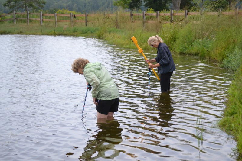 We looked here too, but neither of us were willing to waist deep into the weeds.