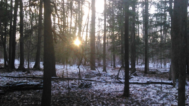 Morning sun on December 31, 2014