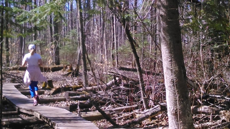 Running the mountain bike trails at Ravenshoe.