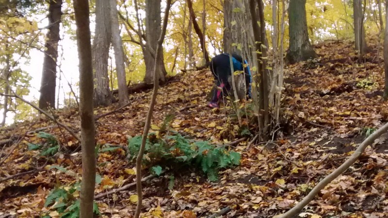 Up on our hands and feet!